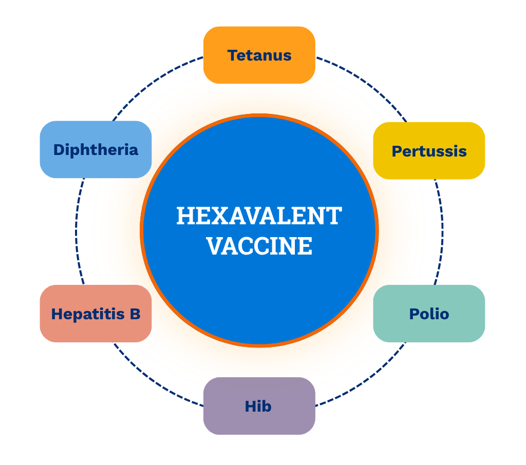 Hexavalent vaccine components graphic