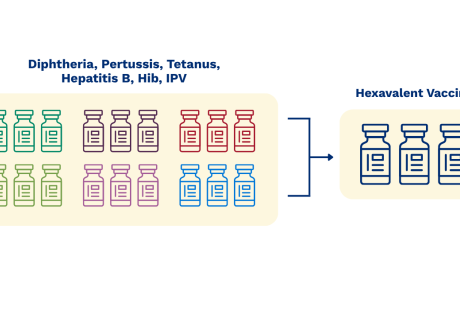 Hexavalent vaccine components