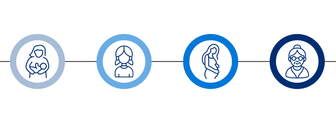 Illustration of different life stages